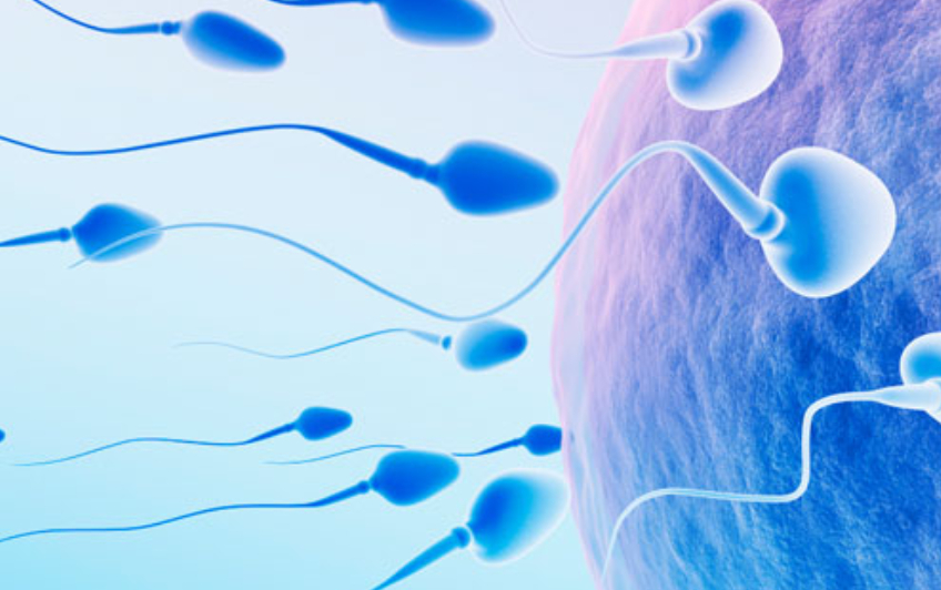 Male Infertility Treatment in Mumbai